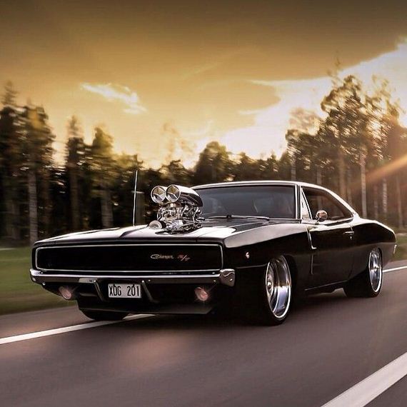 beautiful_cars_wild