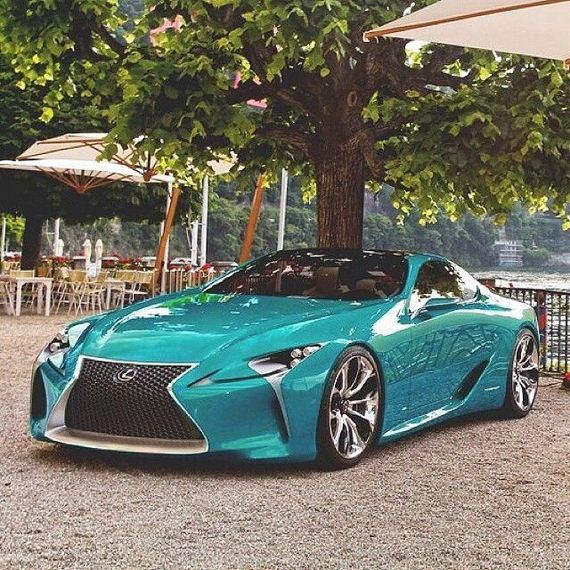 beautiful_cars_wild