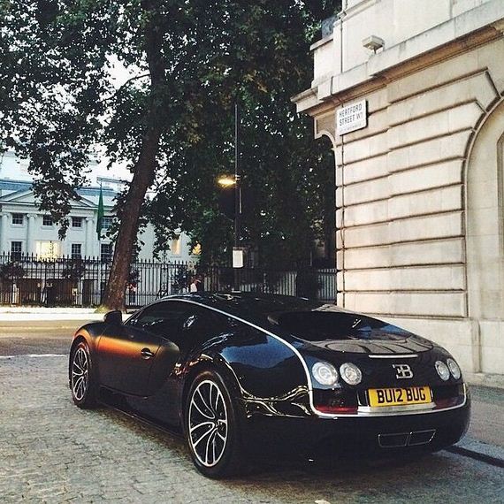 beautiful_cars_wild