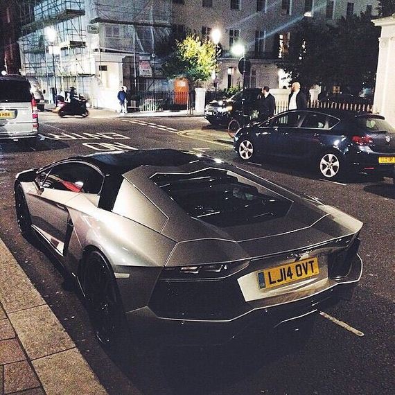 beautiful_cars_wild