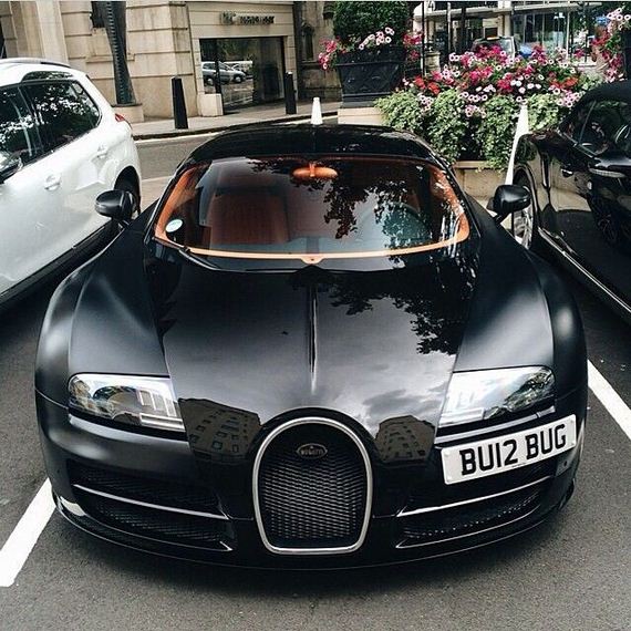 beautiful_cars_wild