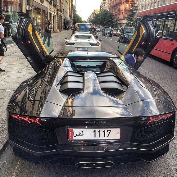 beautiful_cars_wild