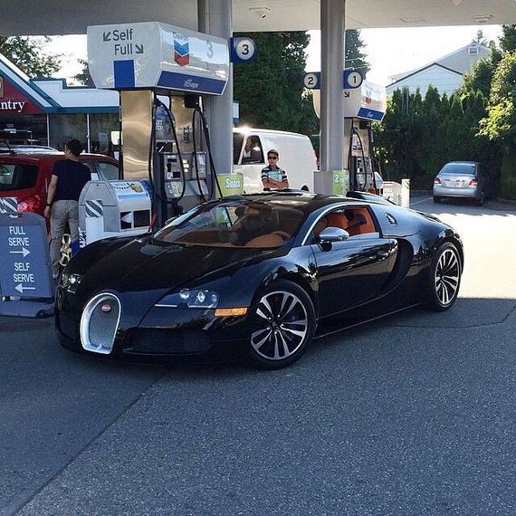 beautiful_cars_wild