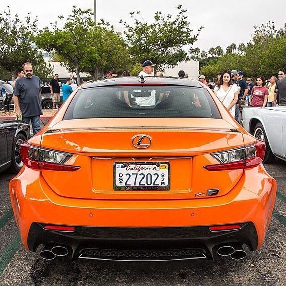 beautiful_cars_wild