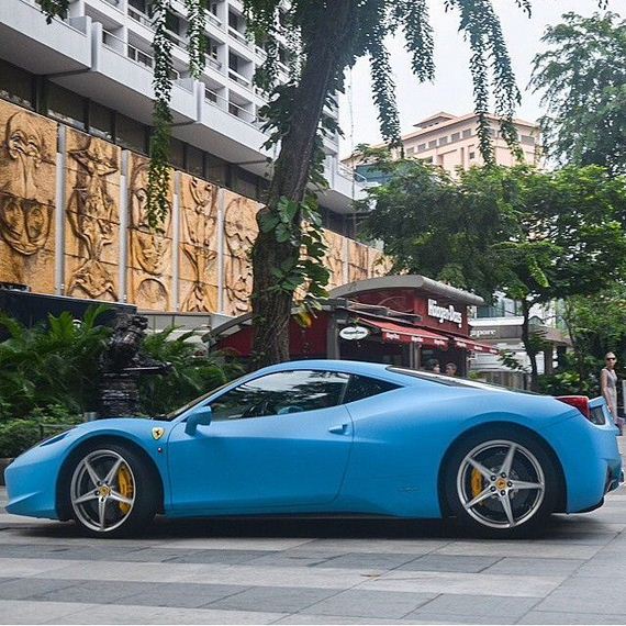 beautiful_cars_wild