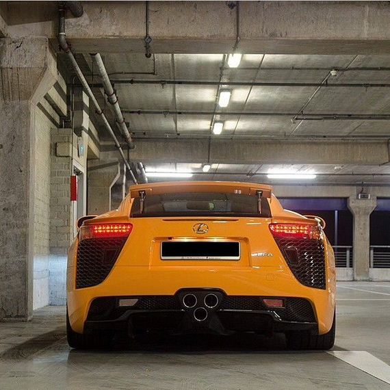 beautiful_cars_wild