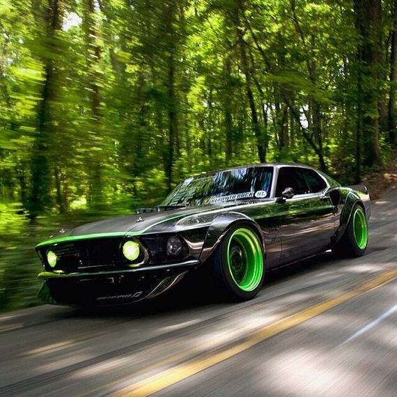 beautiful_cars_wild