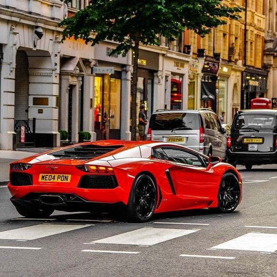 beautiful_cars_wild