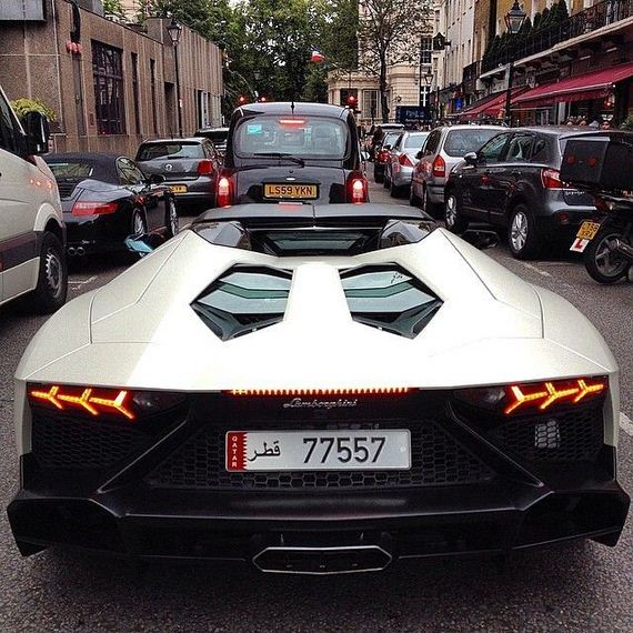 beautiful_cars_wild