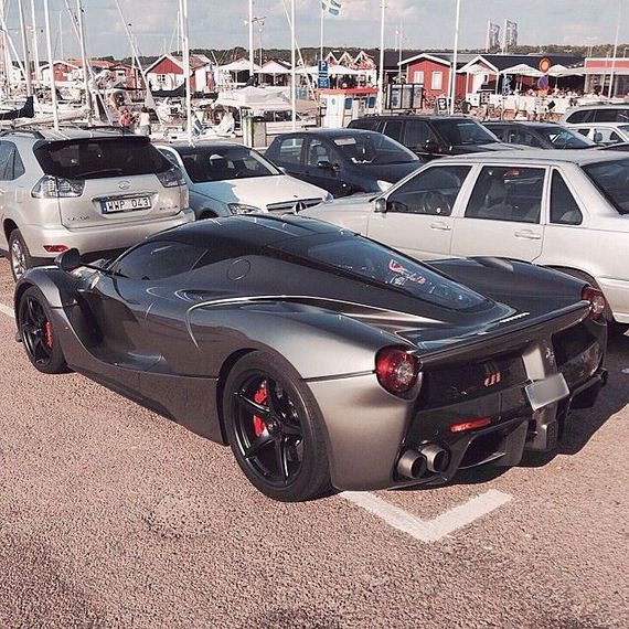beautiful_cars_wild