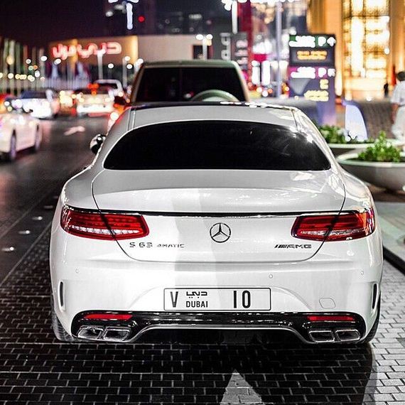 beautiful_cars_wild