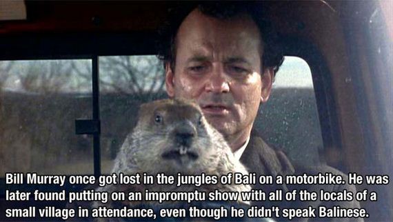 bill_murray