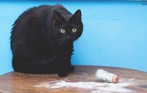 black-cat-superstition
