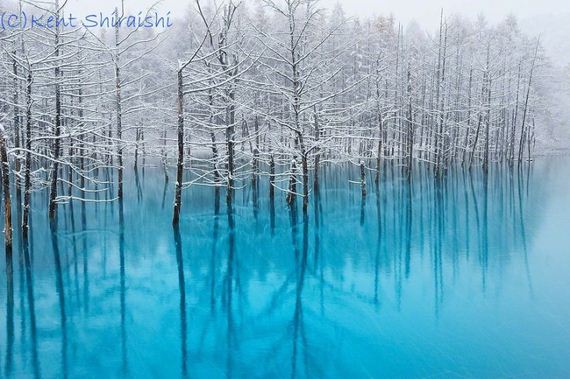 blue-japan-pond