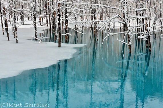blue-japan-pond