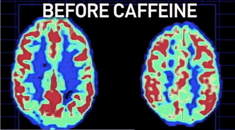 caffeine-facts