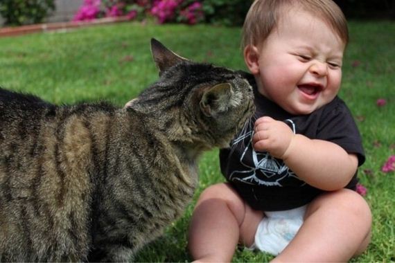 cat-child-friendship