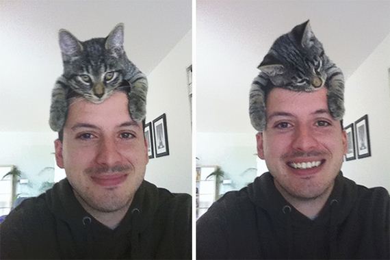 cat-hat
