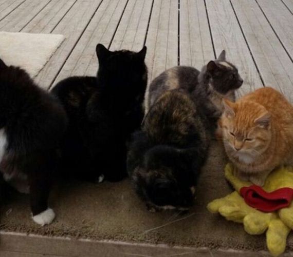 cataquarium