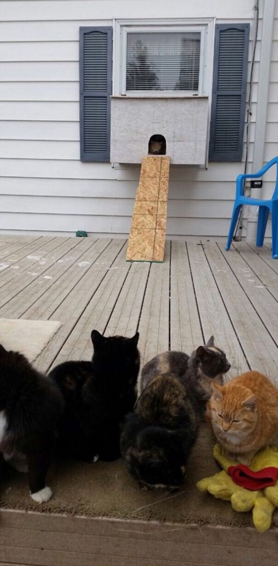 cataquarium