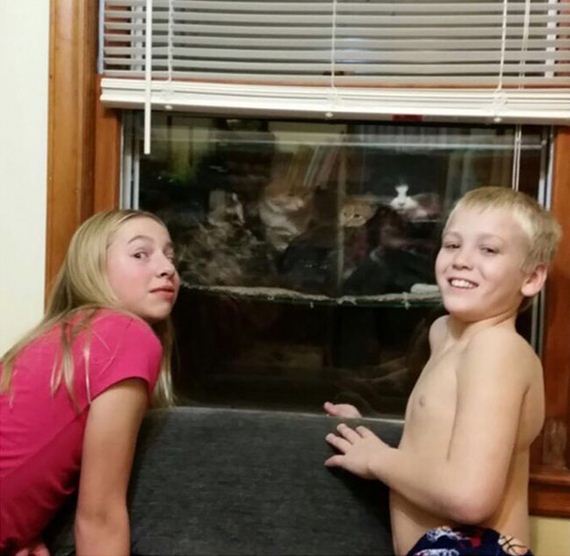 cataquarium