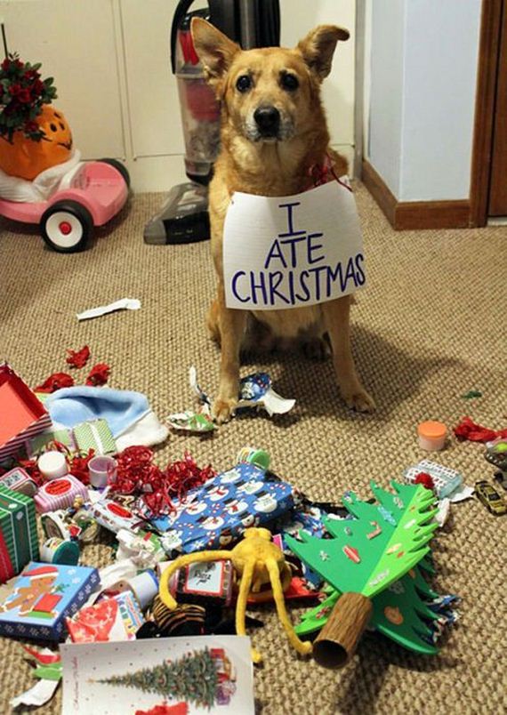 destroying_christmas