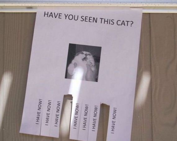 flyers_ever_posted