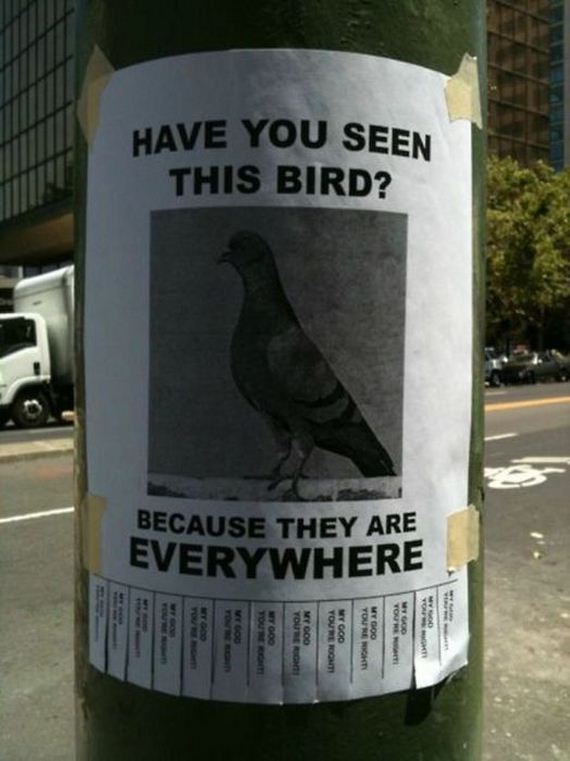flyers_ever_posted