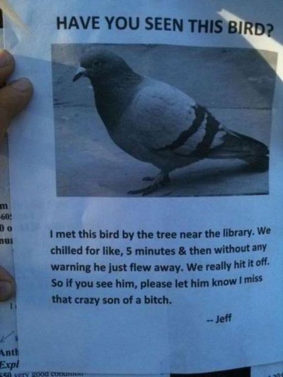 flyers_ever_posted