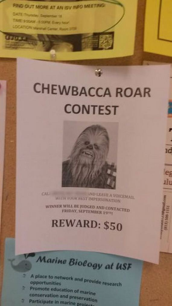 flyers_ever_posted