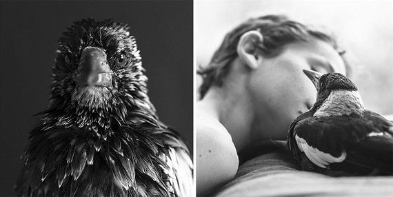 friend-magpie