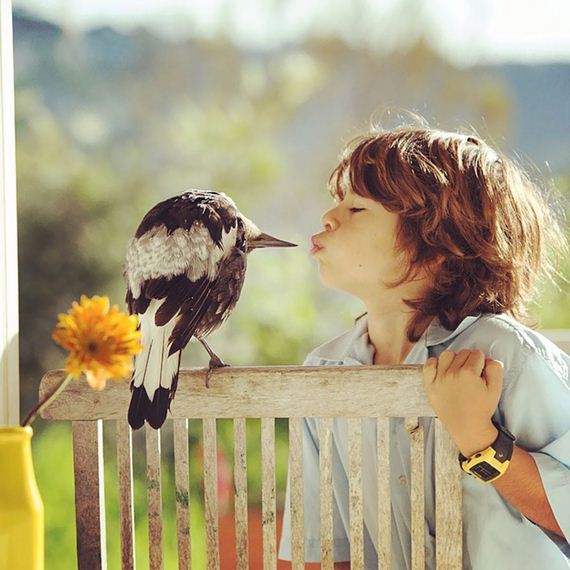 friend-magpie