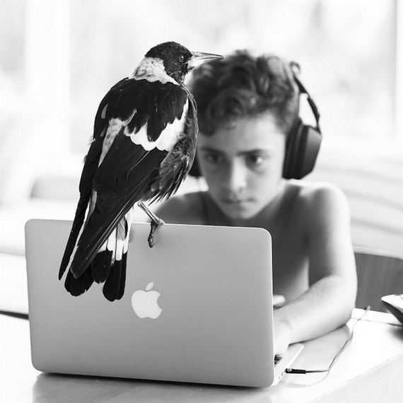 friend-magpie
