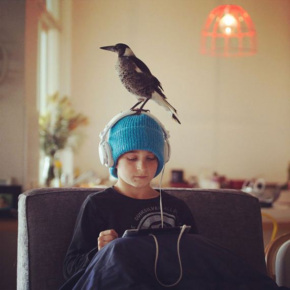 friend-magpie