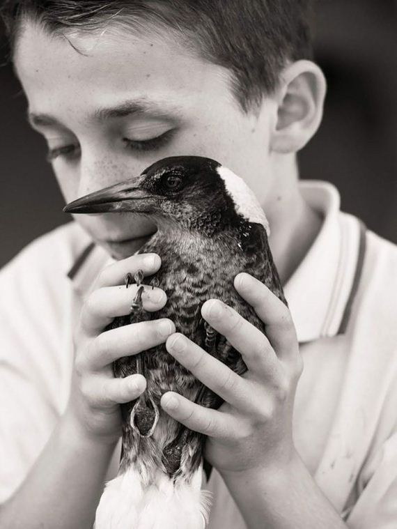 friend-magpie