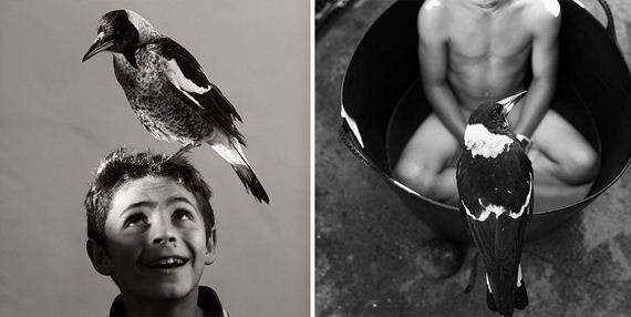 friend-magpie