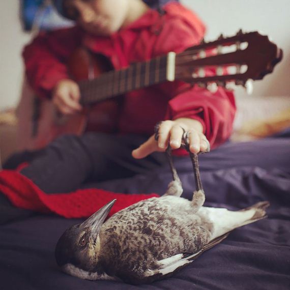 friend-magpie