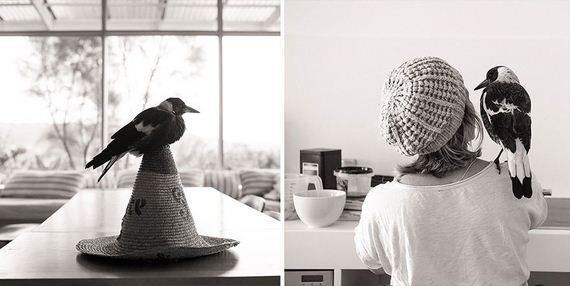 friend-magpie