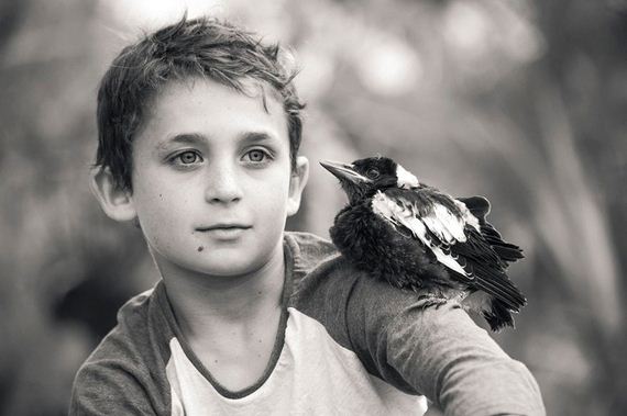 friend-magpie