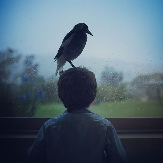 friend-magpie