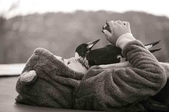 friend-magpie
