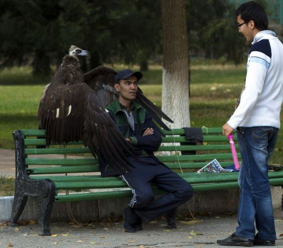 funny-pictures-826