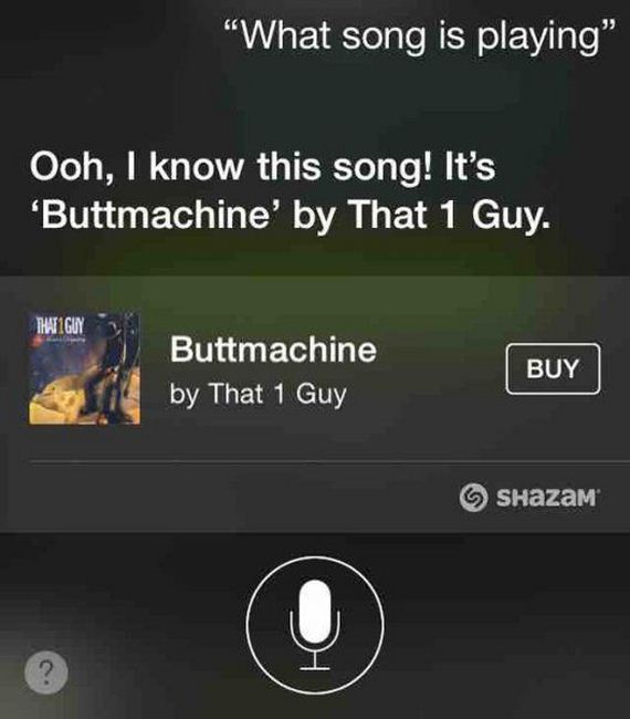 funny-pictures-826