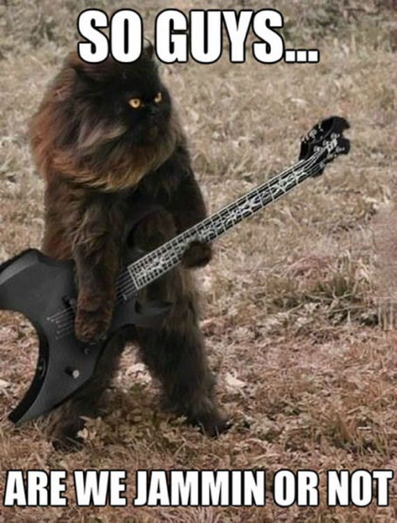 funny-pictures-826
