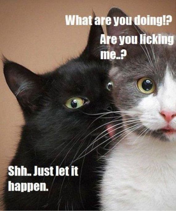 funny-pictures-826