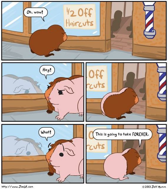 funny-pictures-826