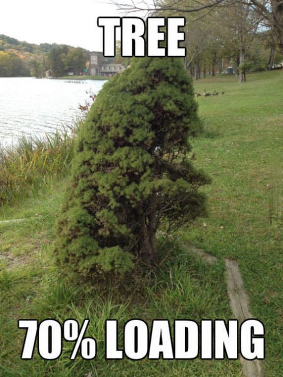 funny-pictures-826