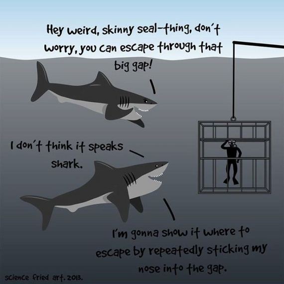 funny-pictures-829