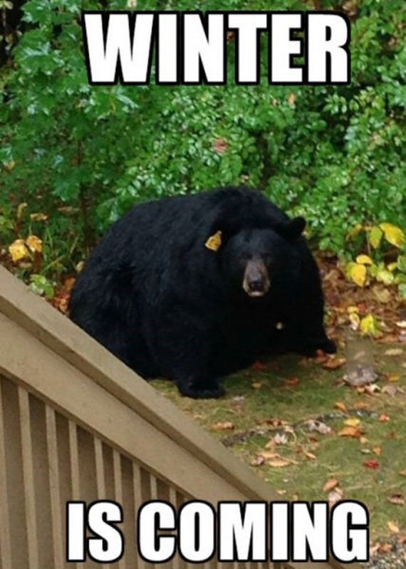 funny-pictures-829