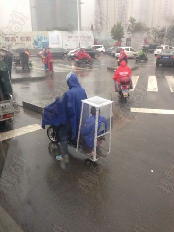 funny-pictures-830